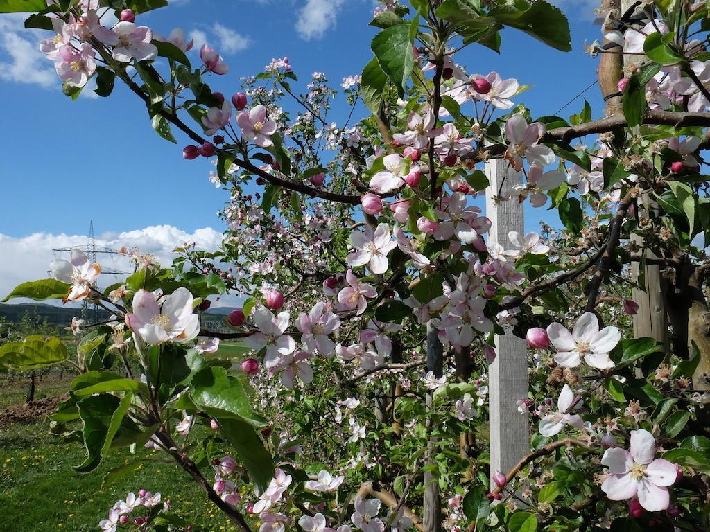 Orchard Frankfurt Kriftel