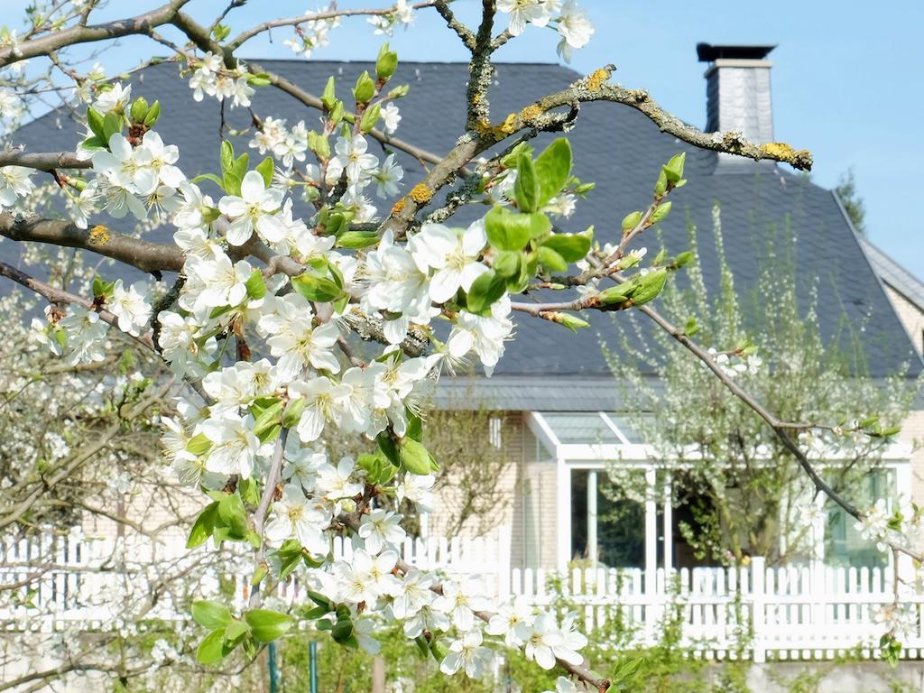 Couette-café Orchard Frankfurt 5*