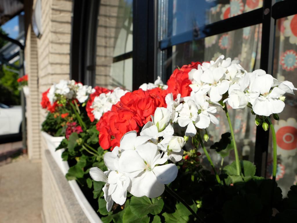 Bed & Breakfast Orchard Frankfurt 5*