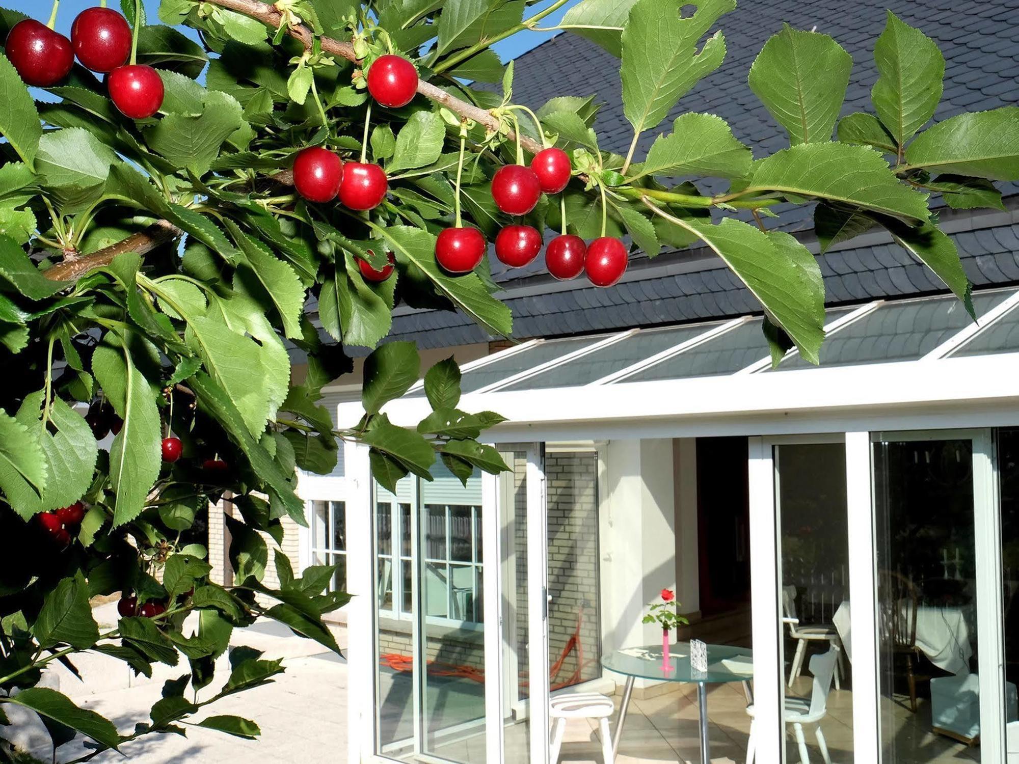 Orchard Frankfurt Bed & Breakfast