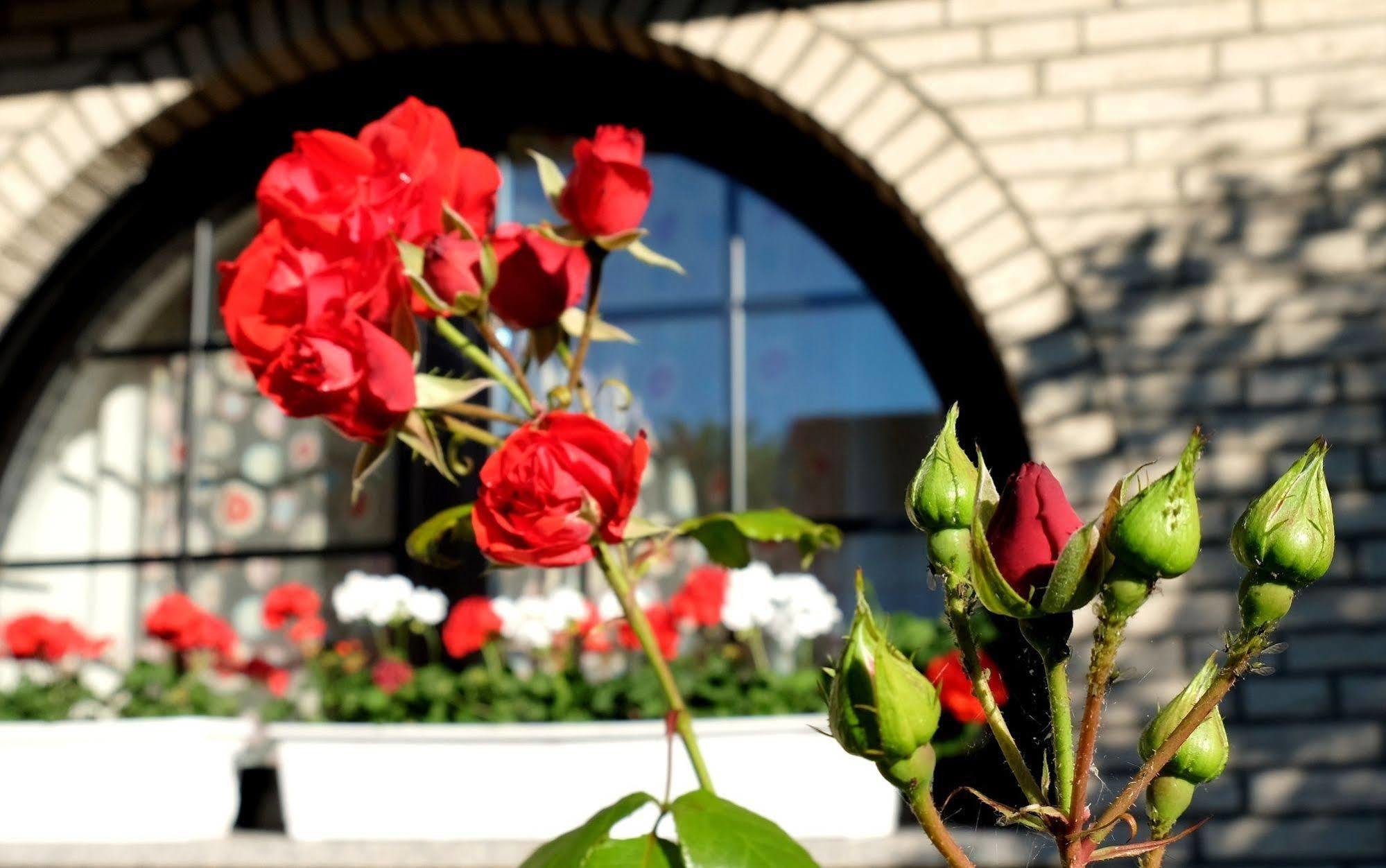 Bed & Breakfast Orchard Frankfurt Kriftel